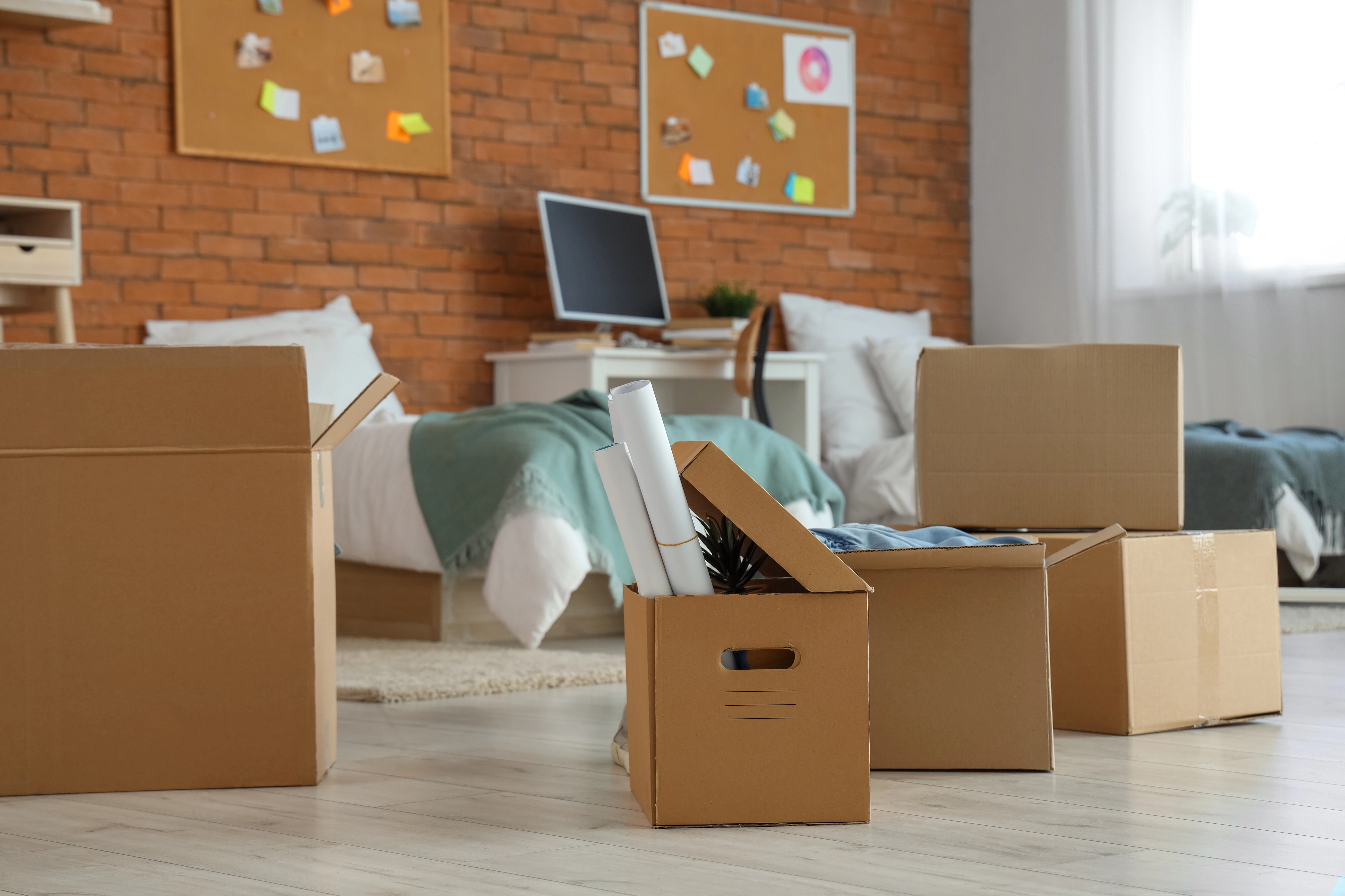 Dorm, Apartment, or Condo? How to Choose the Best College Housing for Your Student 